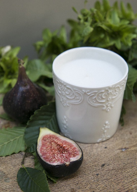 Ficus - Scented candle 50h